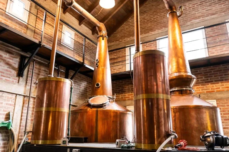 Paisaje de montaña 7