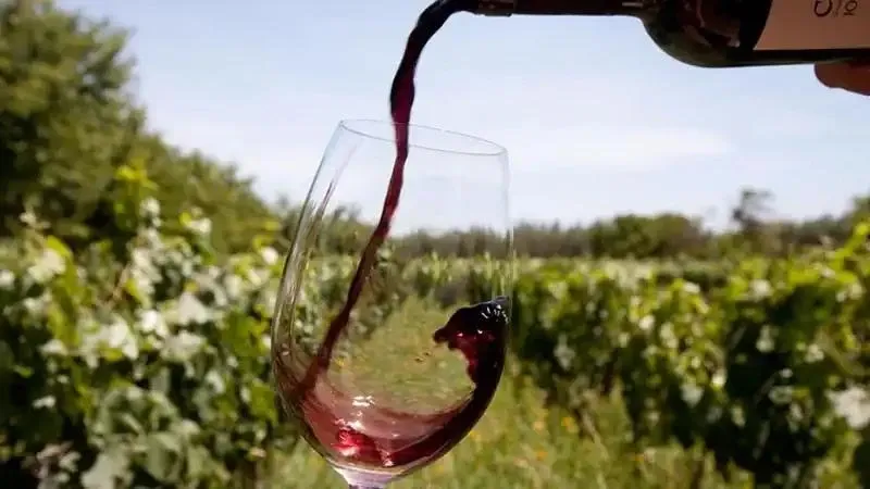 Paisaje de montaña 4