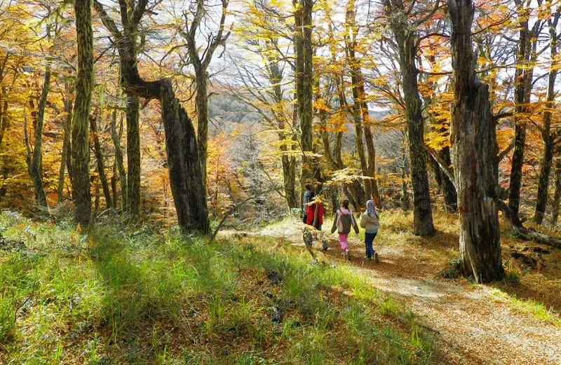 Paisaje de montaña 5