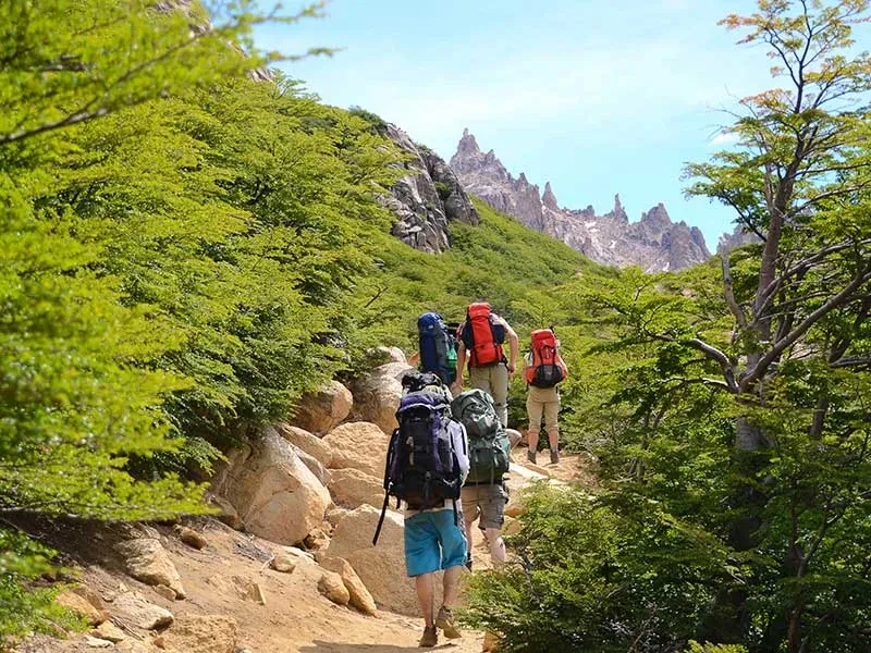 Paisaje de montaña 1