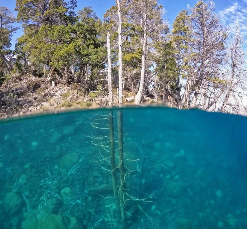 Paisaje de montaña 5