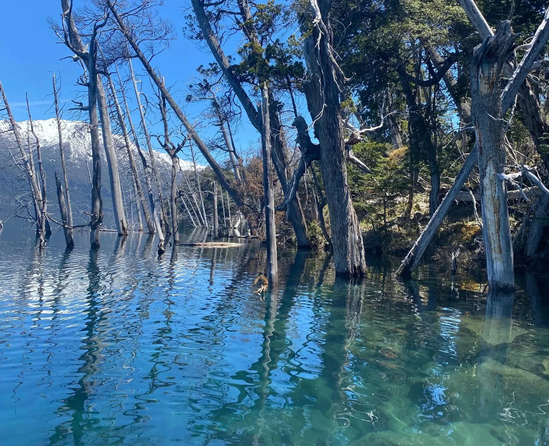 Paisaje de montaña 6