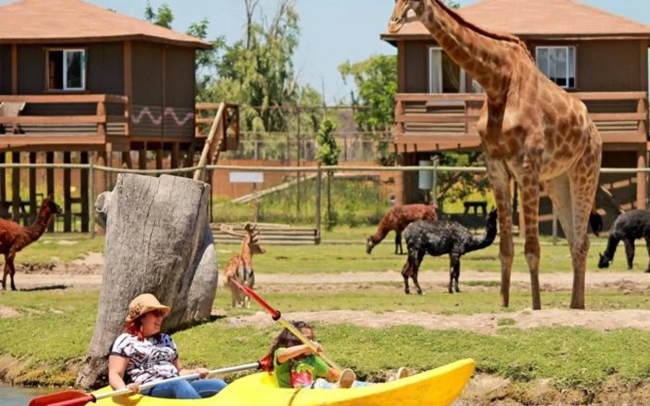 Paisaje de montaña 4