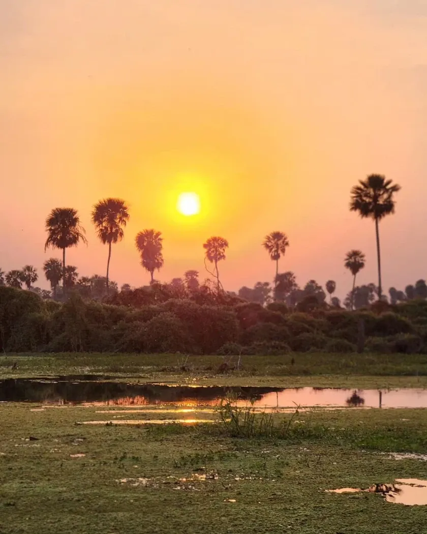 Paisaje de montaña 7