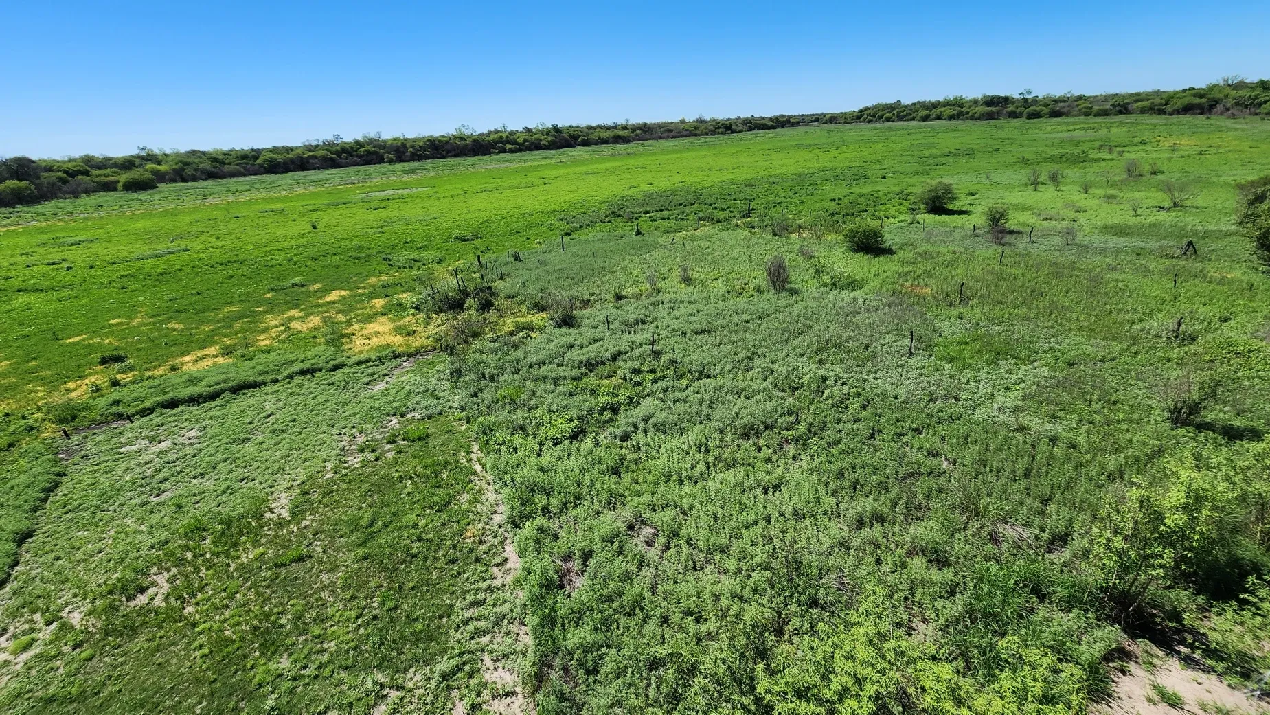 Paisaje de montaña 8