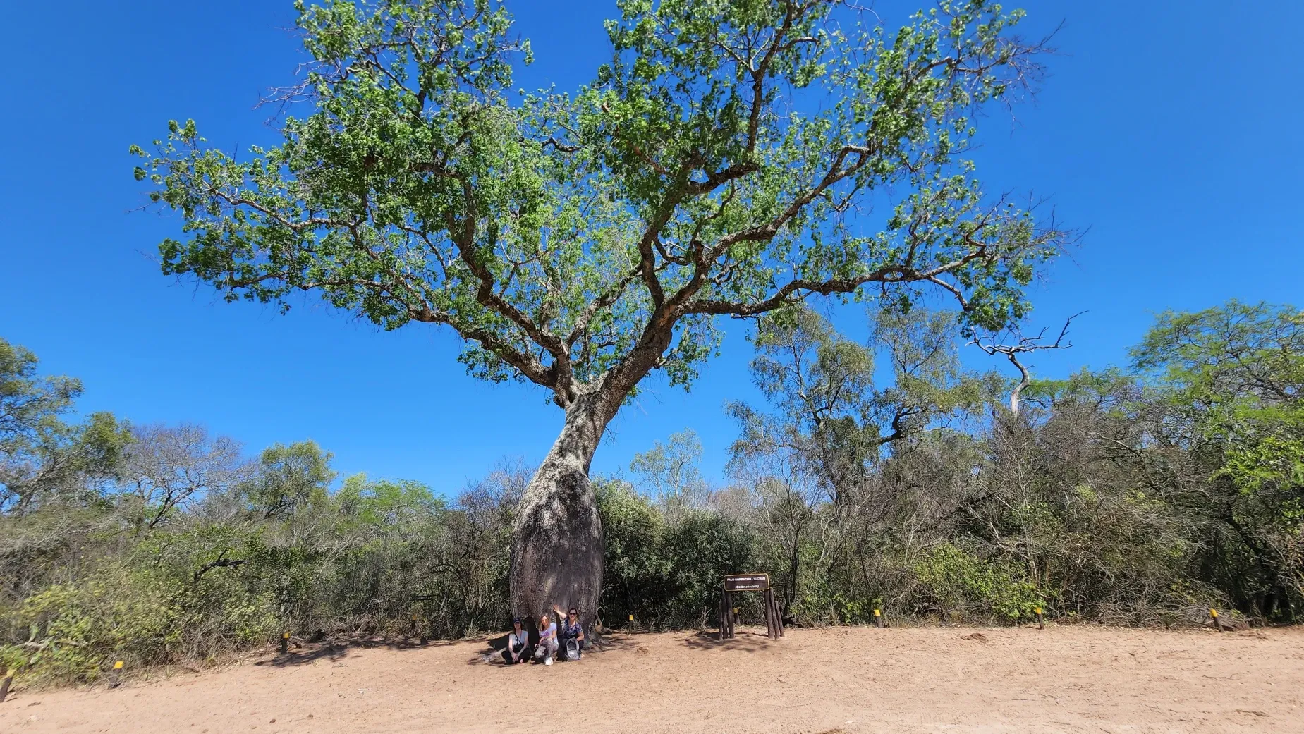 Paisaje de montaña 9