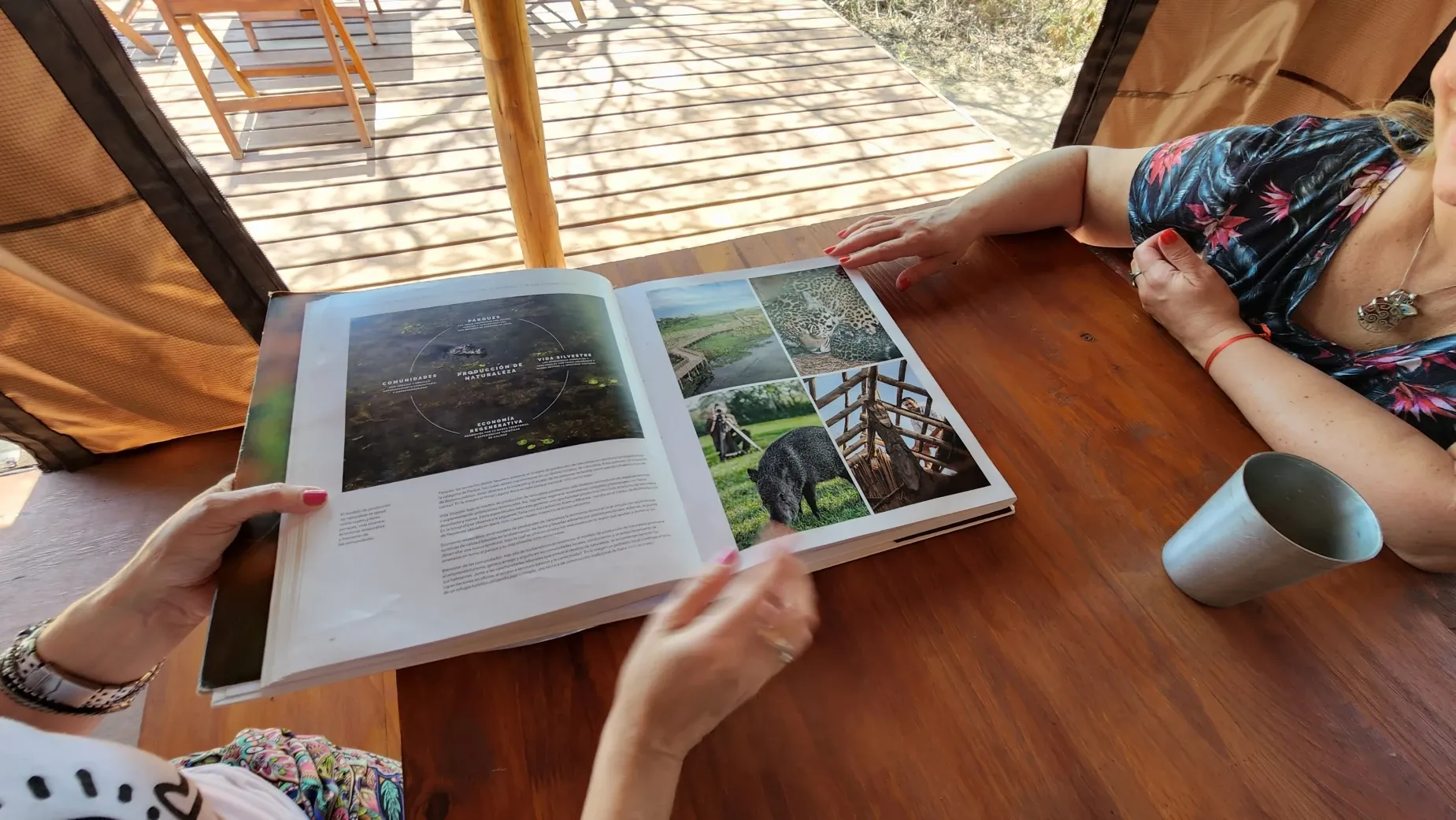 Paisaje de montaña 11