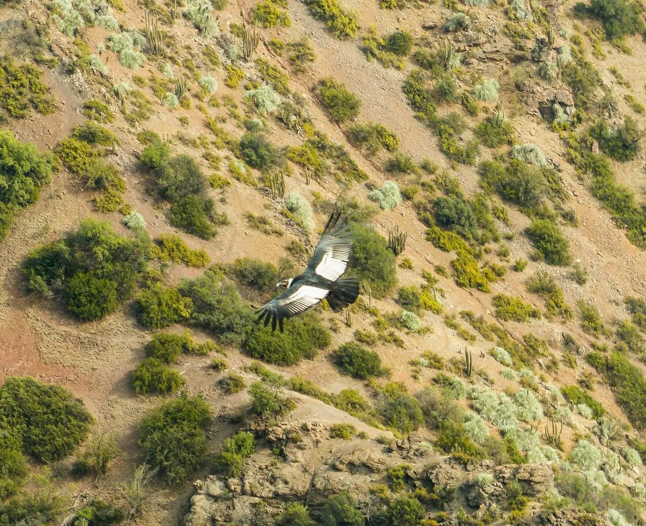 Paisaje de montaña 3