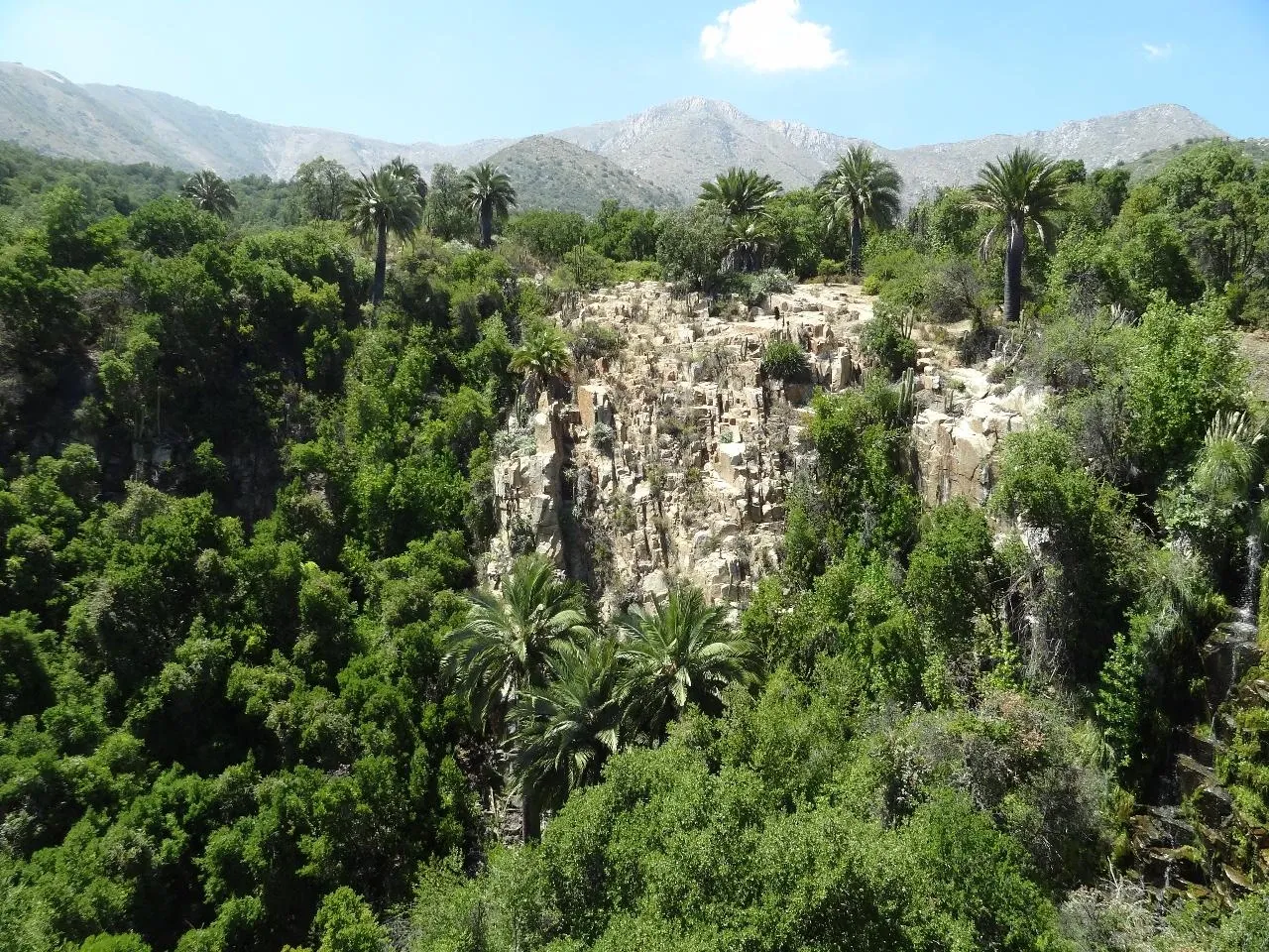 Paisaje de montaña 5