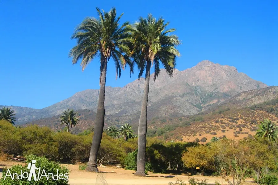 Paisaje de montaña 8