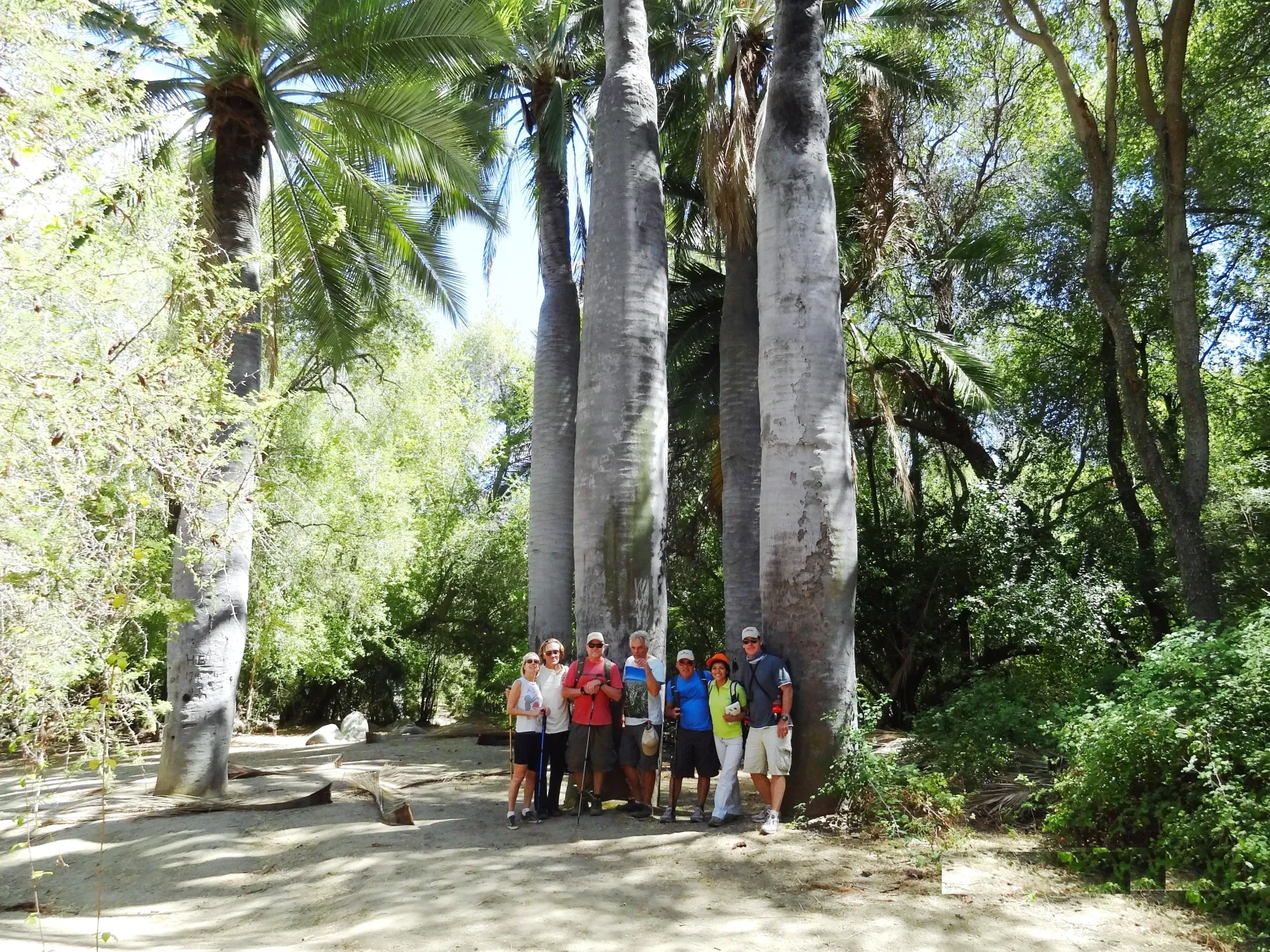 Paisaje de montaña 9