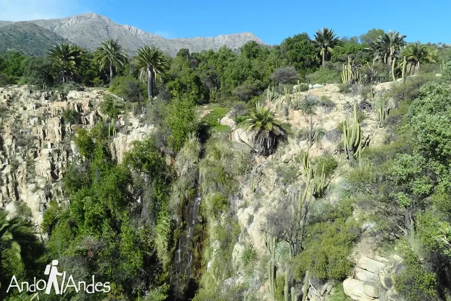 Paisaje de montaña 11