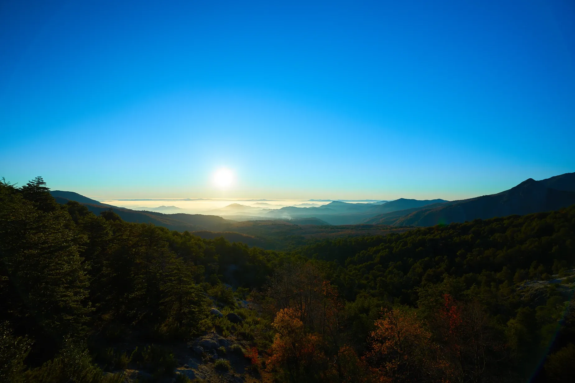 Paisaje de montaña 8