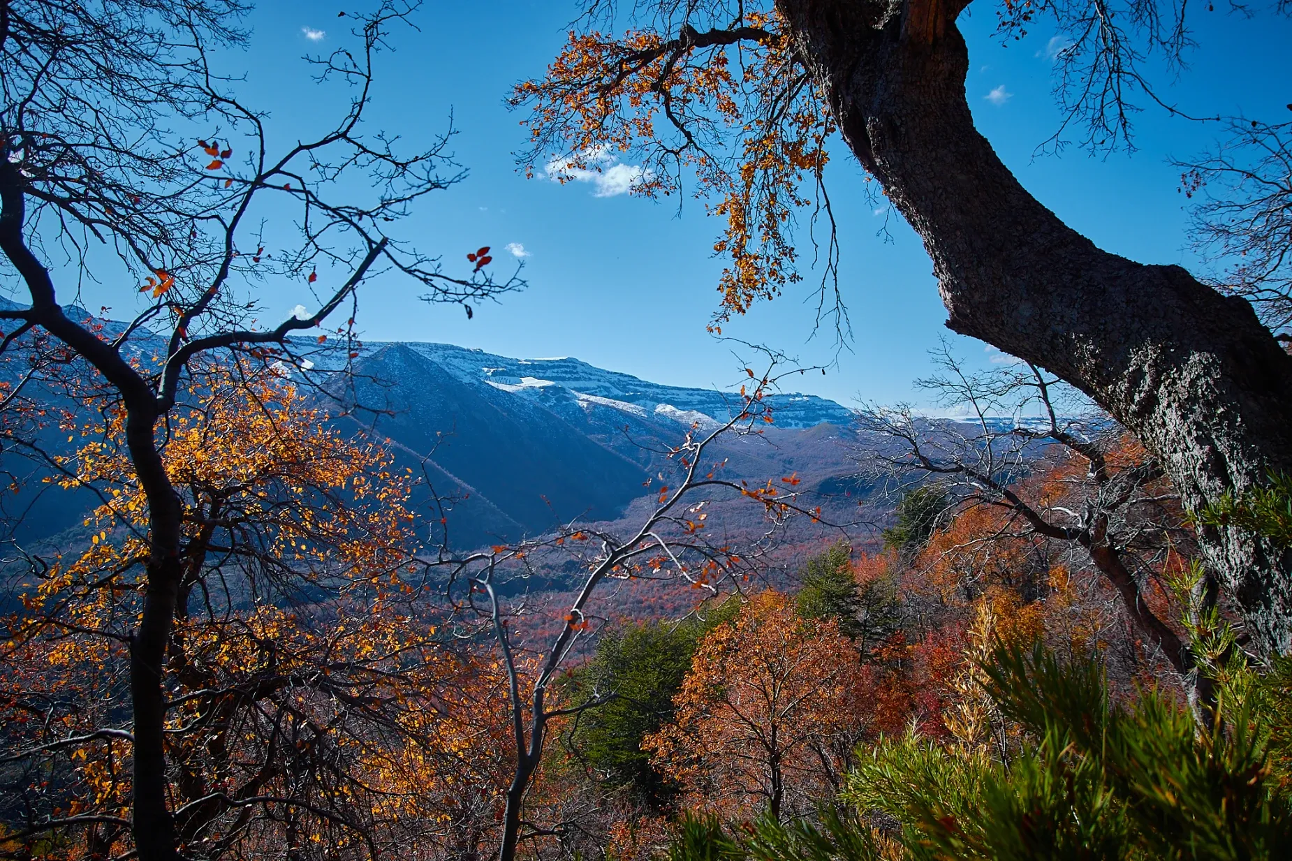 Paisaje de montaña 3
