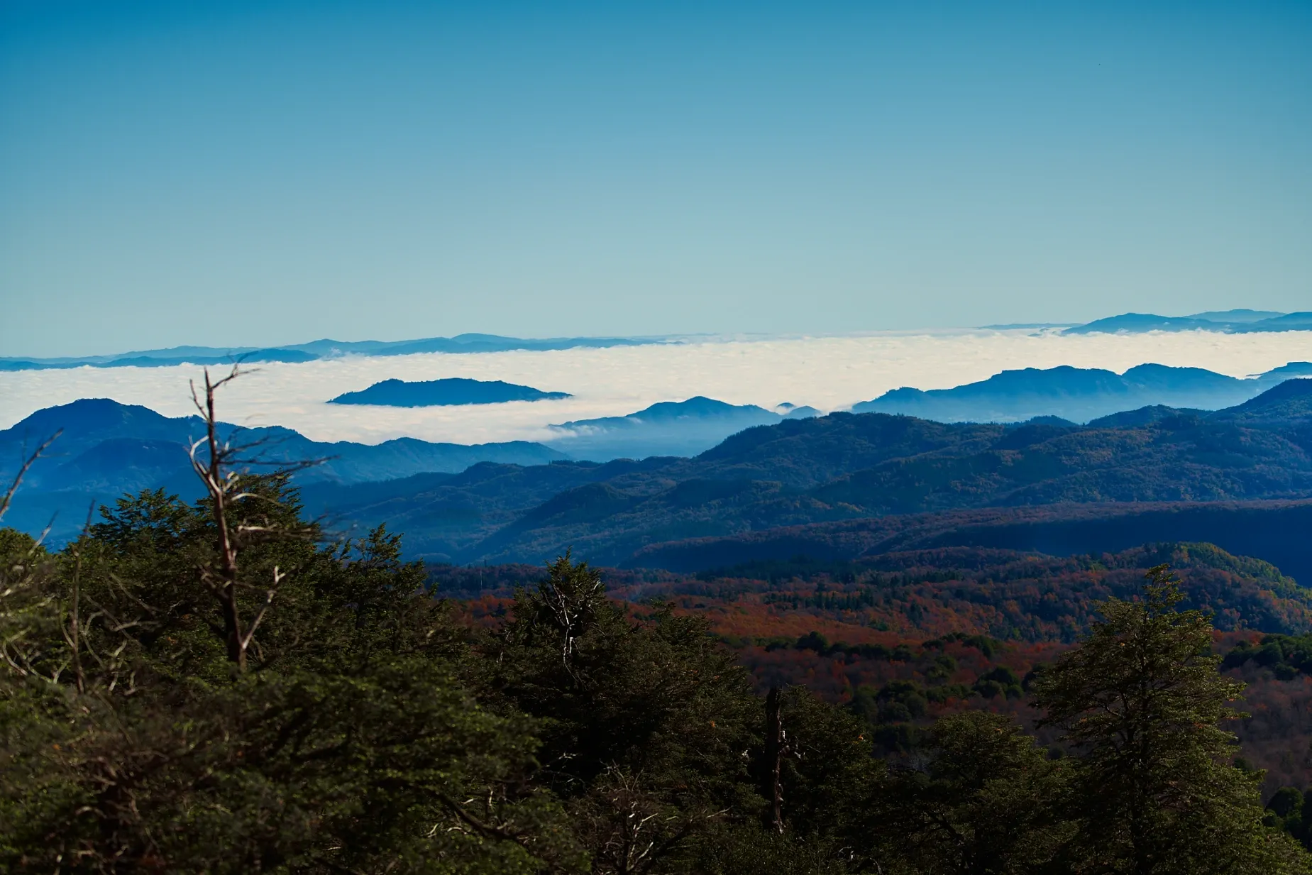 Paisaje de montaña 12