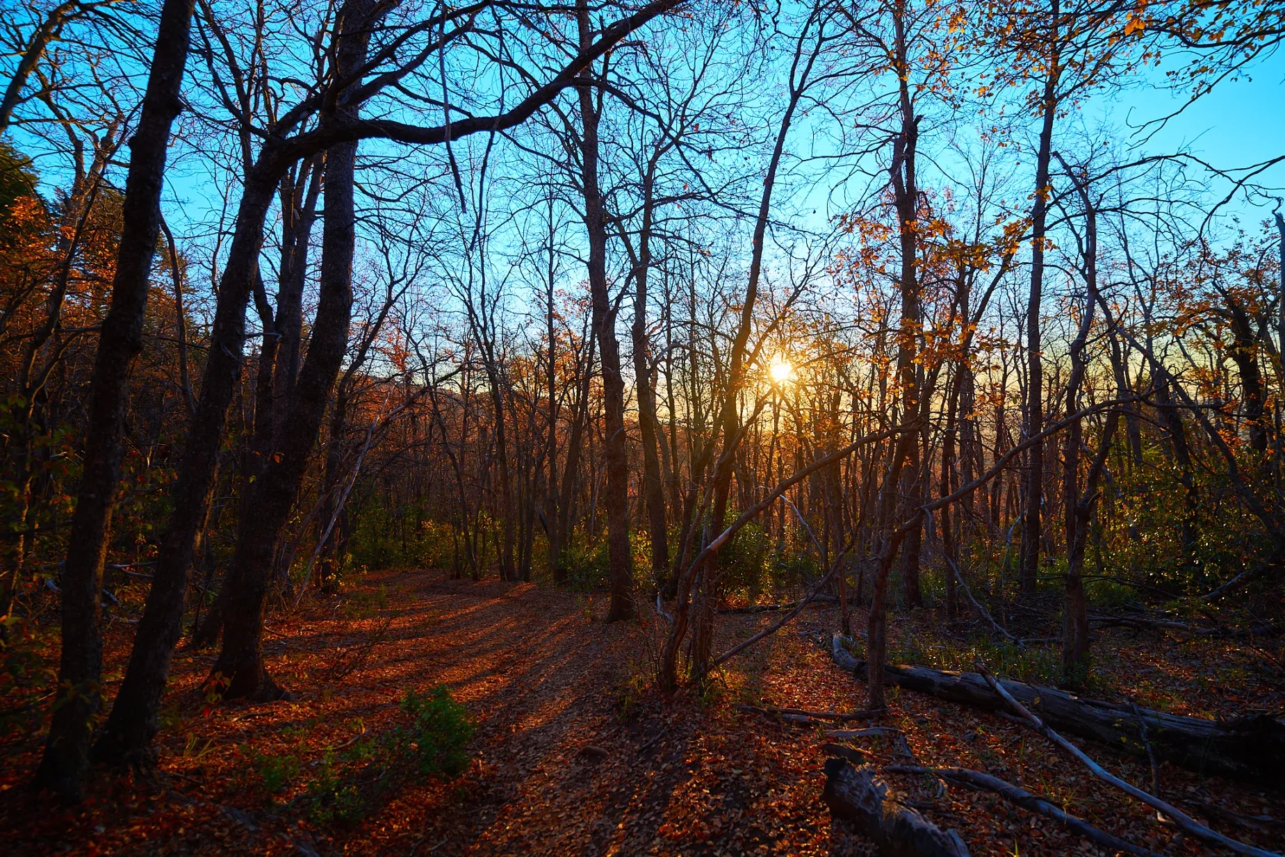 Paisaje de montaña 15
