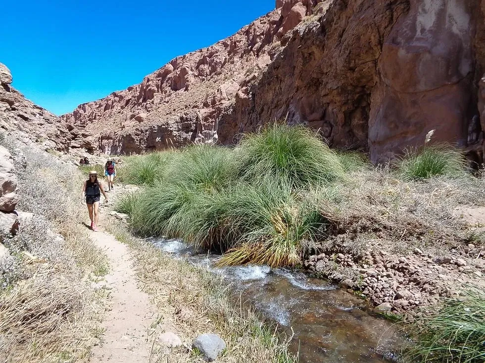 Paisaje de montaña 4