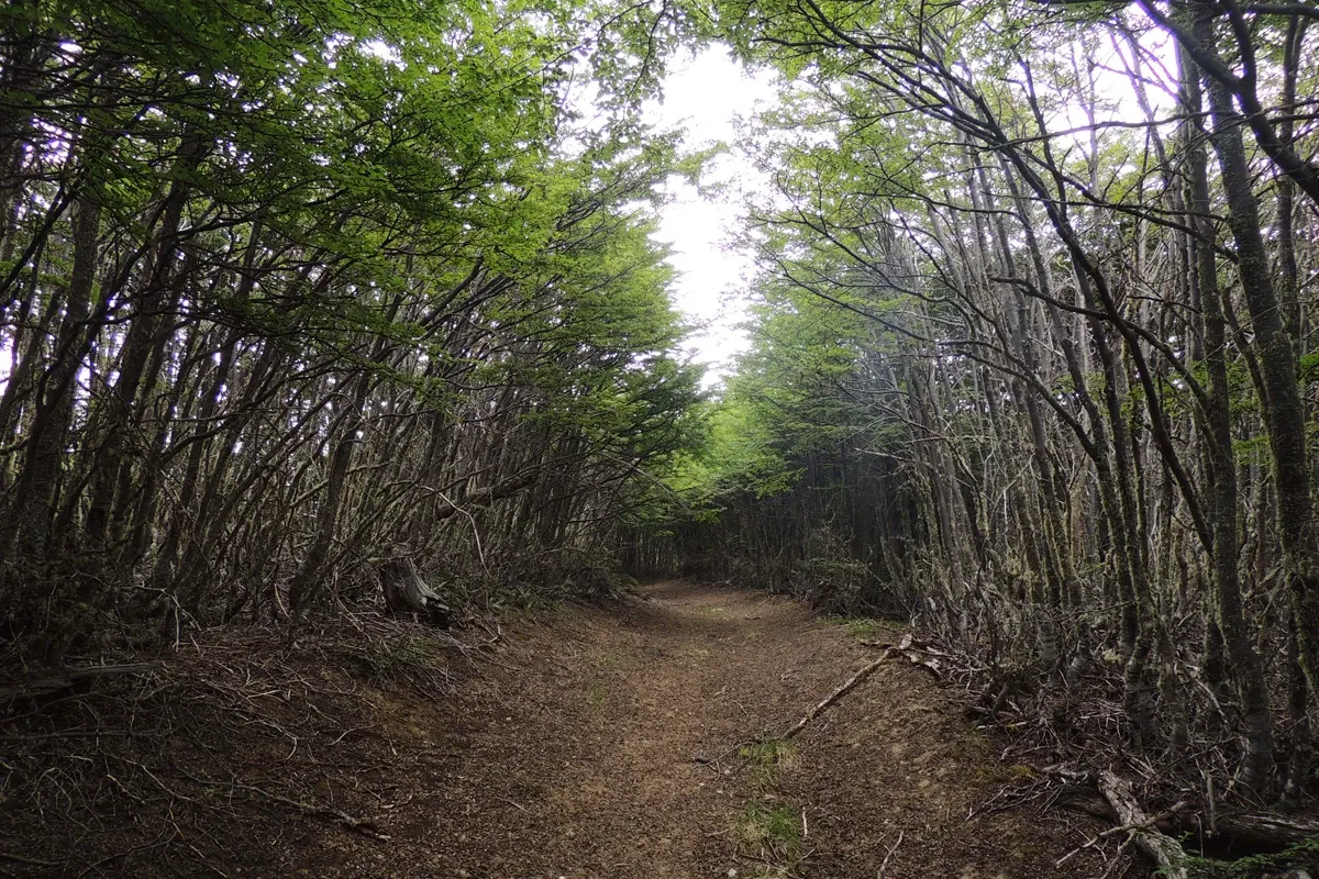 Paisaje de montaña 5