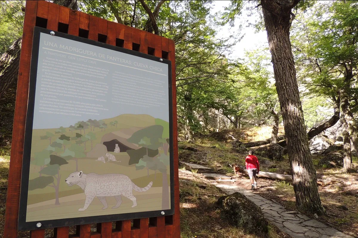 Paisaje de montaña 4