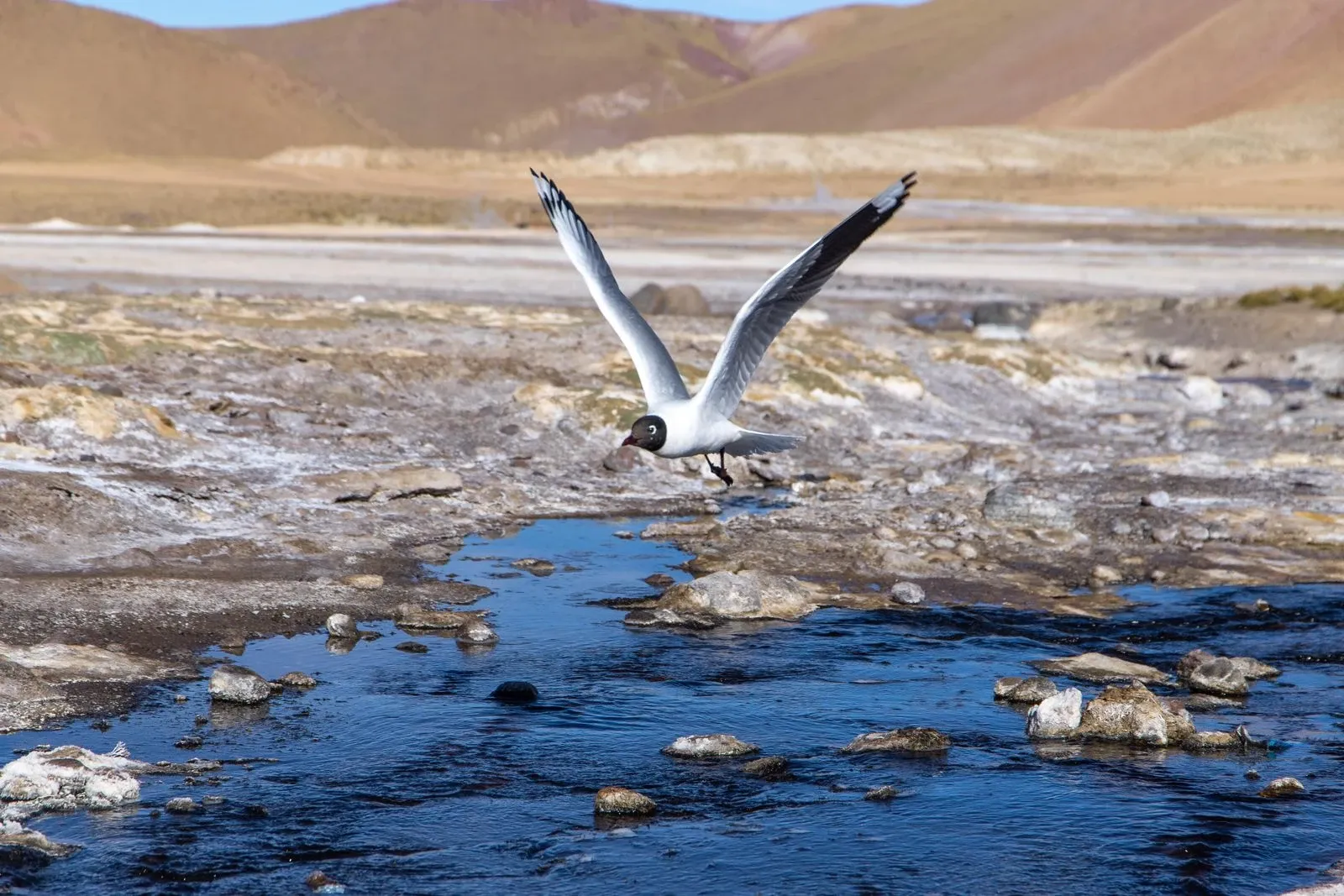Paisaje de montaña 5