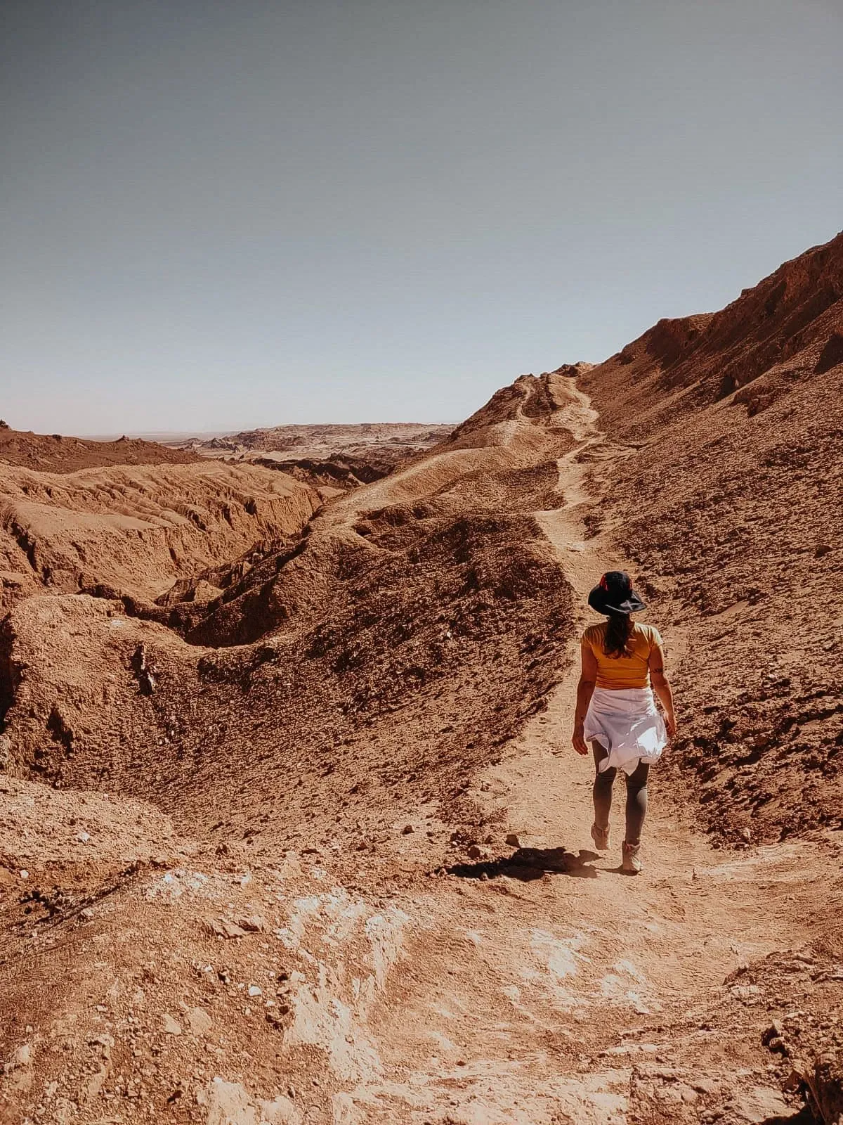 Paisaje de montaña 3