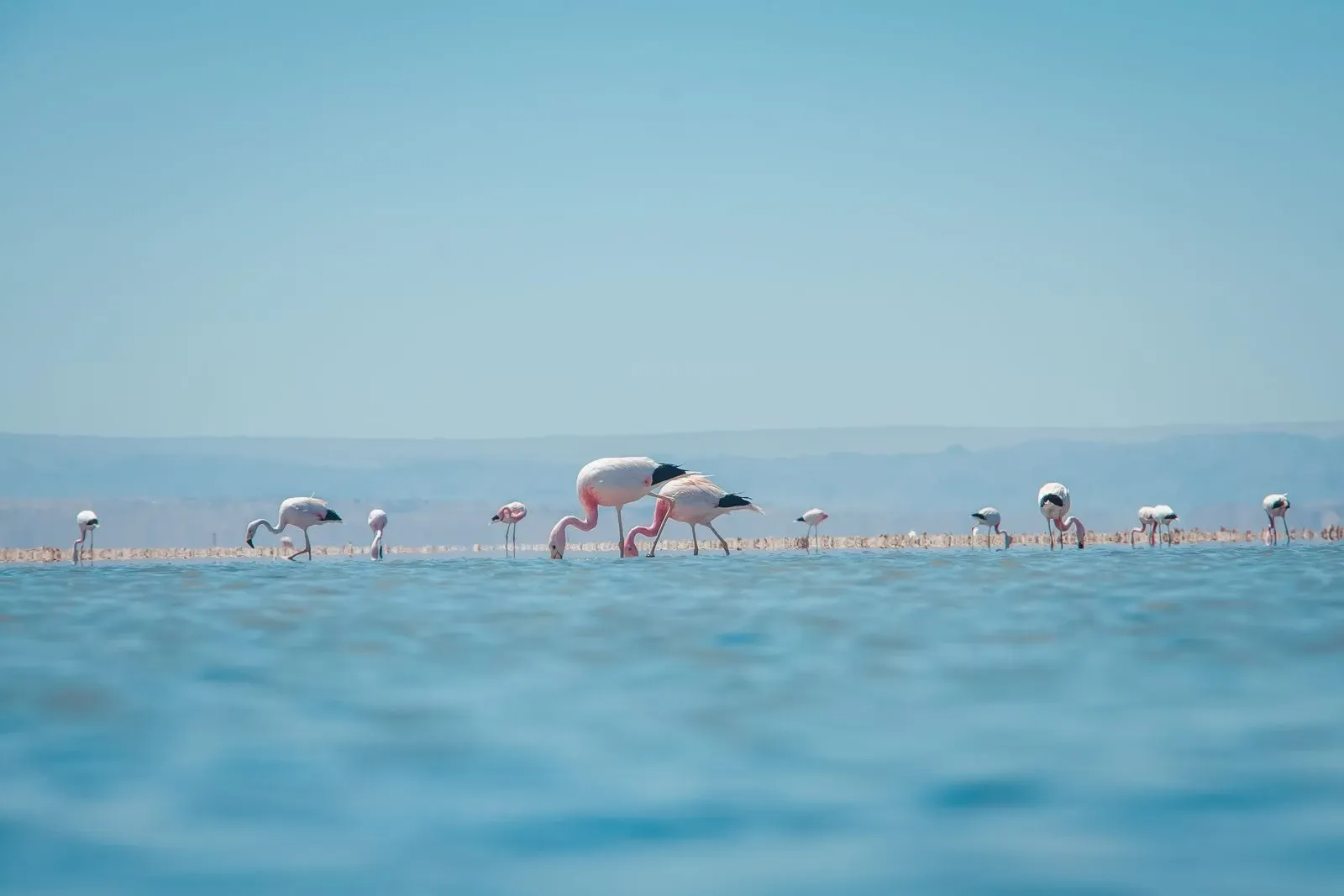 Paisaje de montaña 4