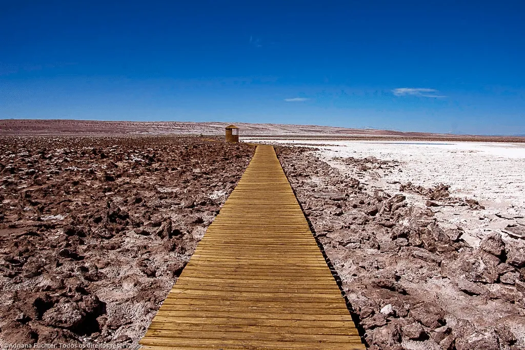 Paisaje de montaña 7