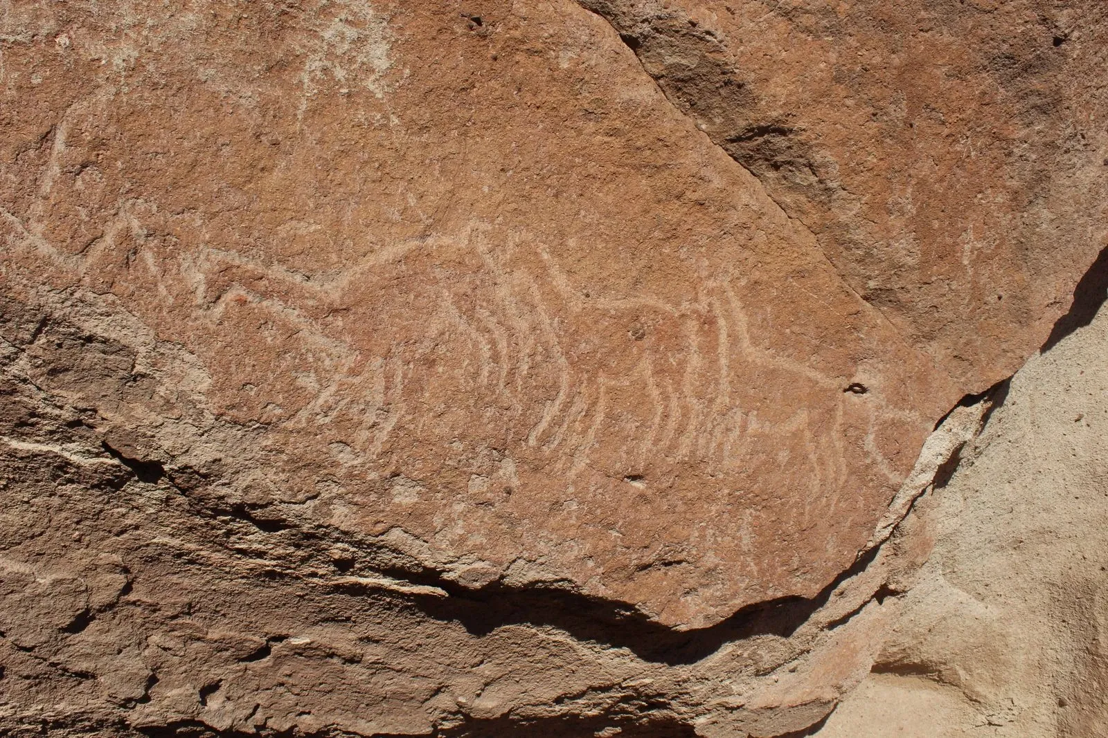 Paisaje de montaña 5