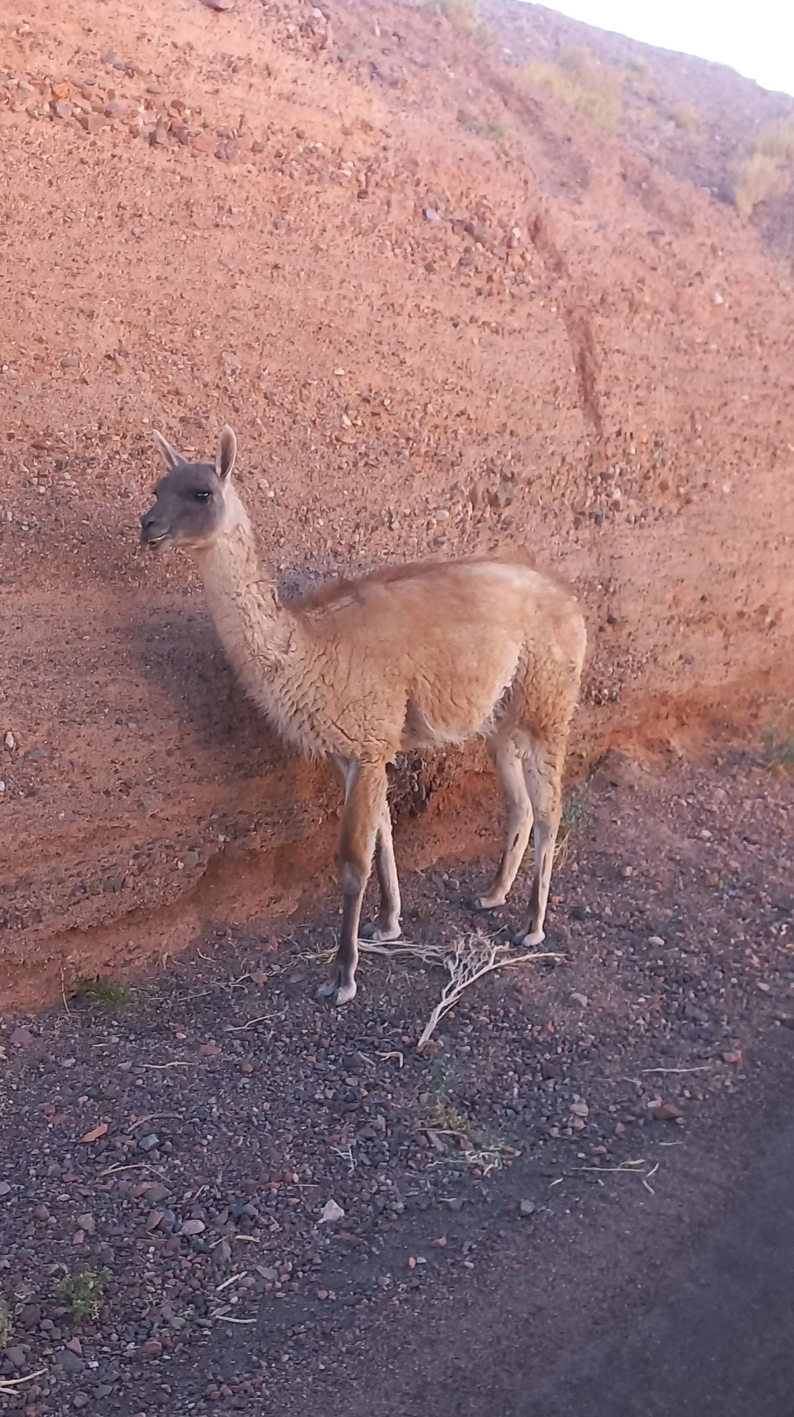 Paisaje de montaña 8