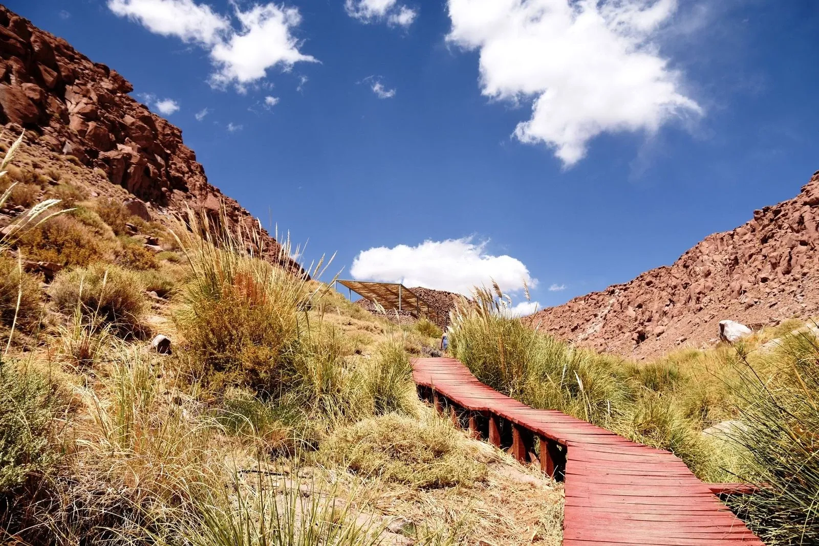 Paisaje de montaña 6