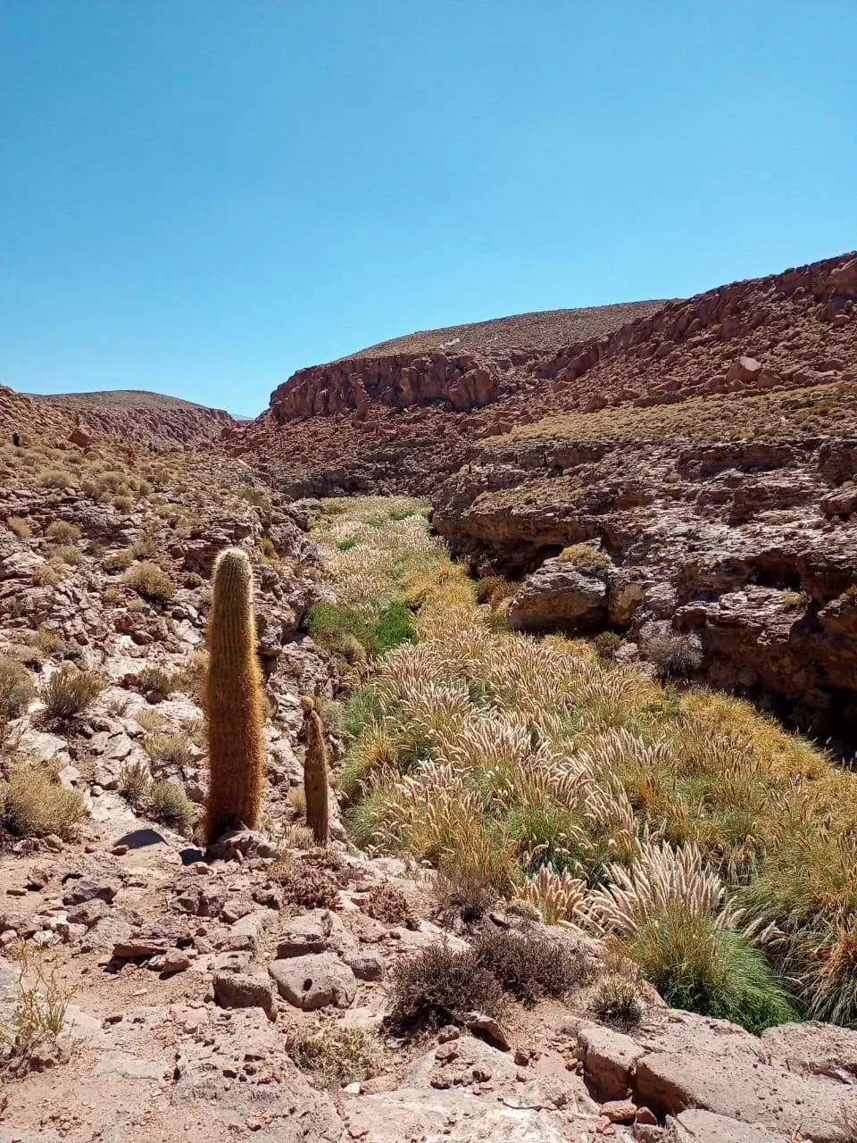 Paisaje de montaña 5