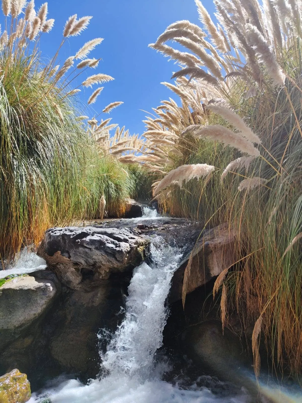 Paisaje de montaña 6