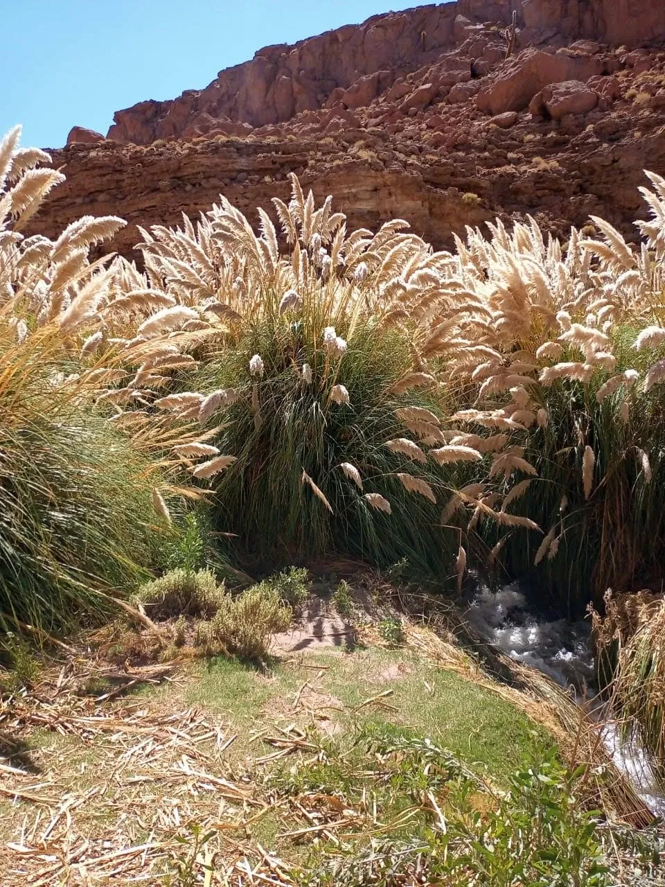 Paisaje de montaña 7