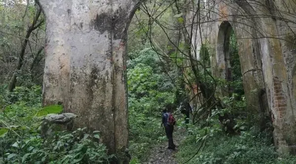 Paisaje de montaña 7