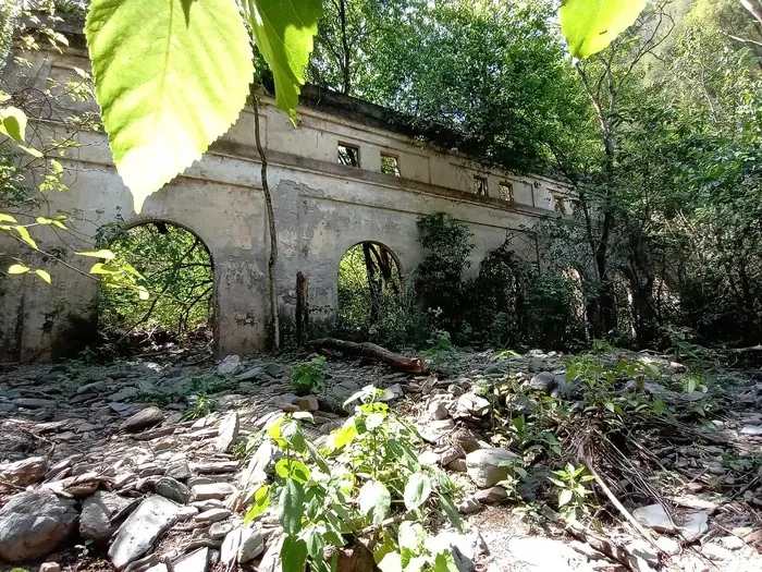 Paisaje de montaña 8