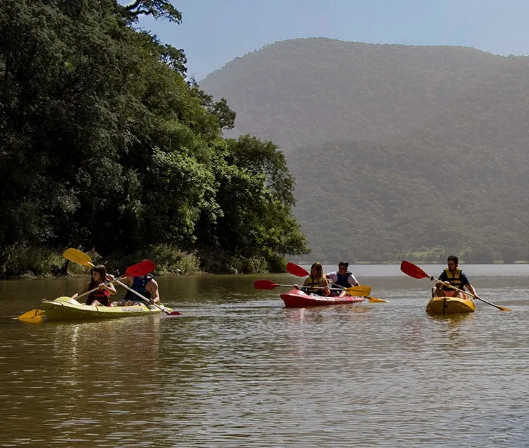 Paisaje de montaña 4