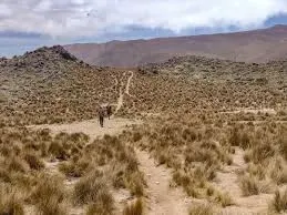 Paisaje de montaña 3