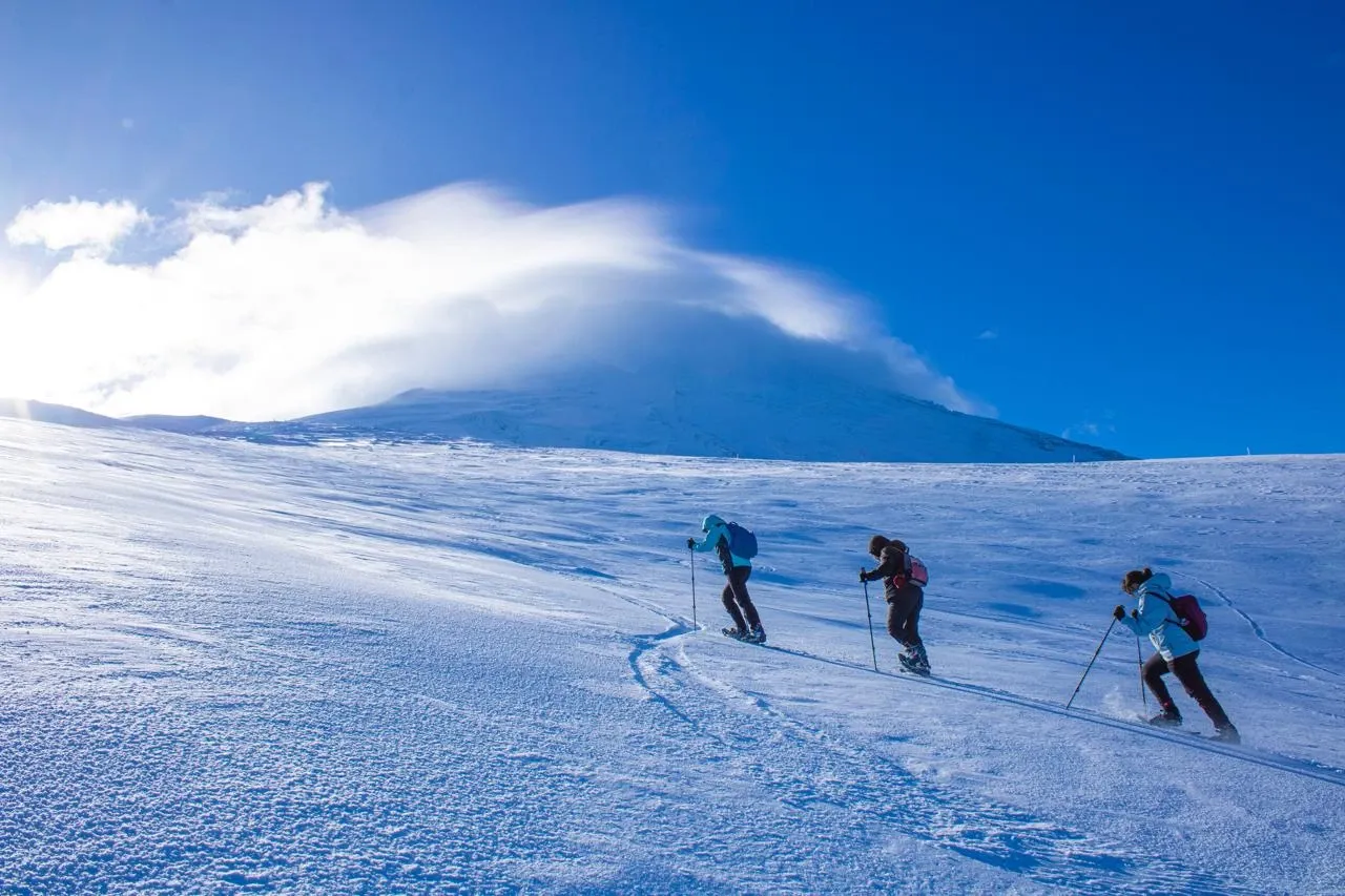 Paisaje de montaña 6