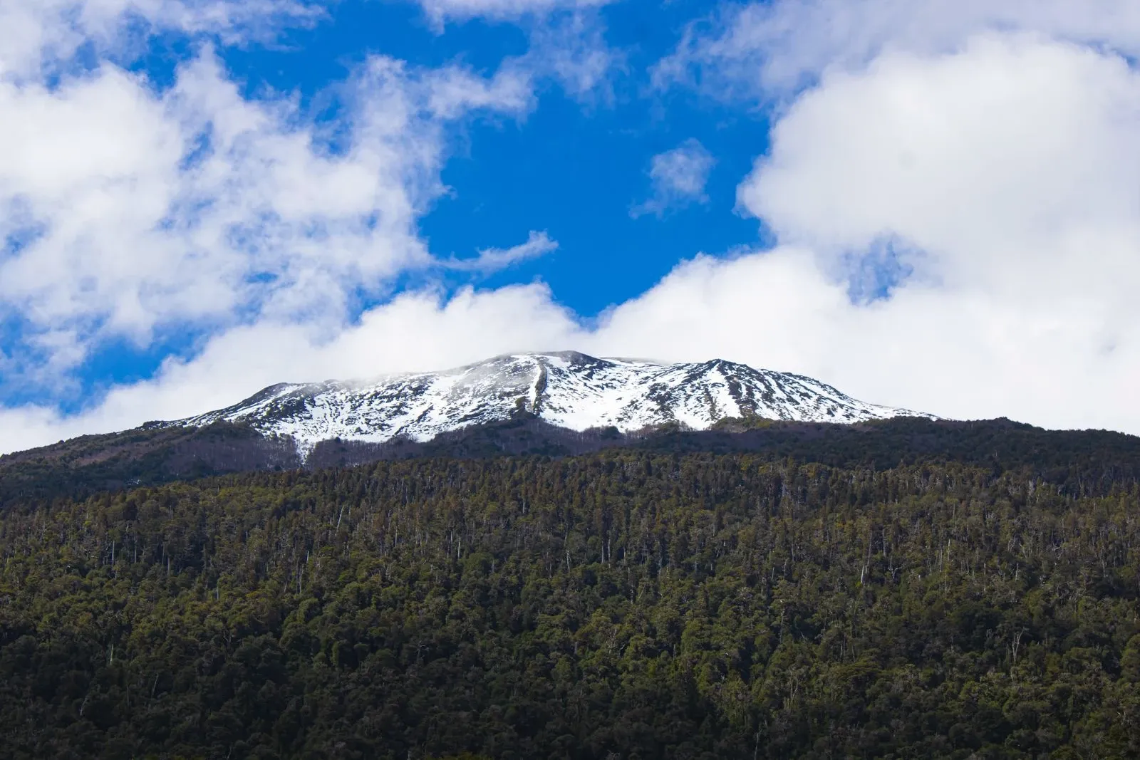 Paisaje de montaña 5