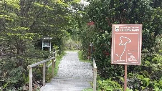 Paisaje de montaña 4