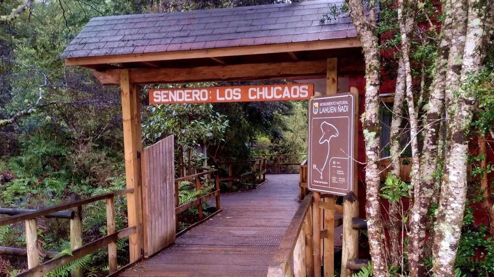 Paisaje de montaña 1