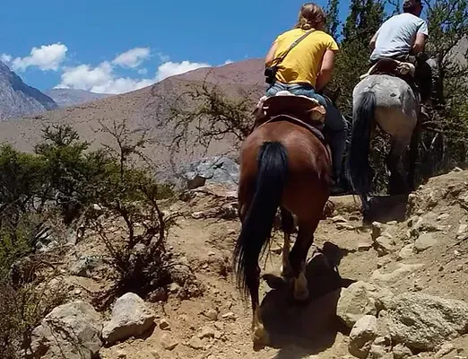 Paisaje de montaña 5