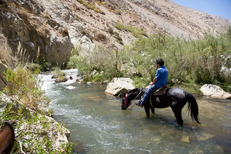 Paisaje de montaña 10