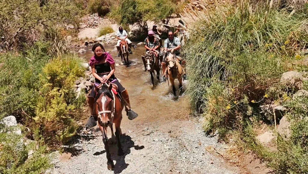 Paisaje de montaña 8