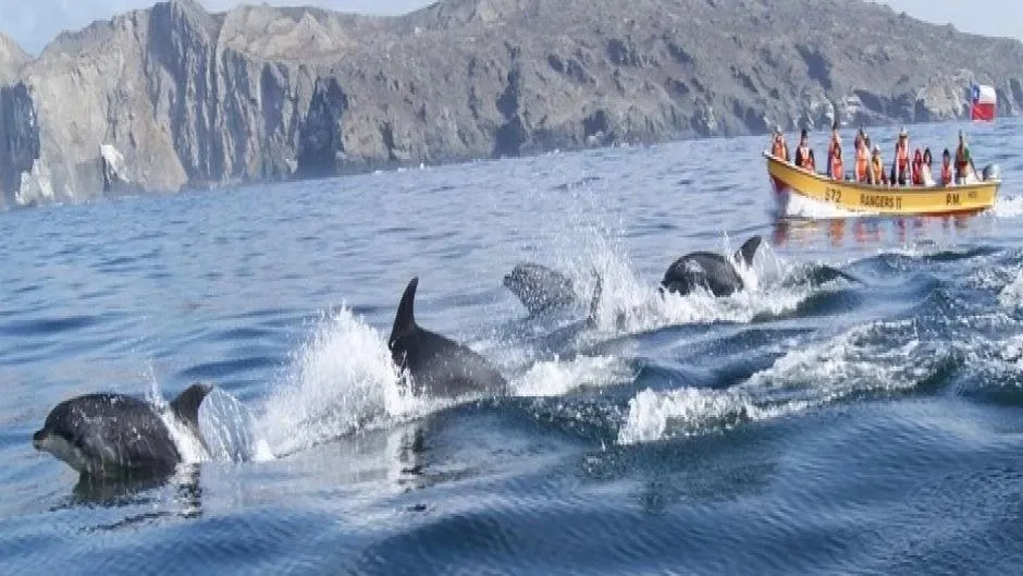 Paisaje de montaña 3