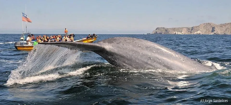 Paisaje de montaña 5