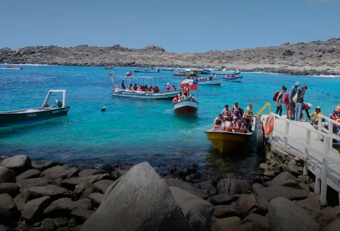 Paisaje de montaña 8