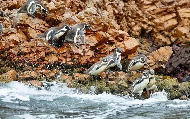 Paisaje de montaña 9