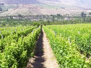 Paisaje de montaña 1