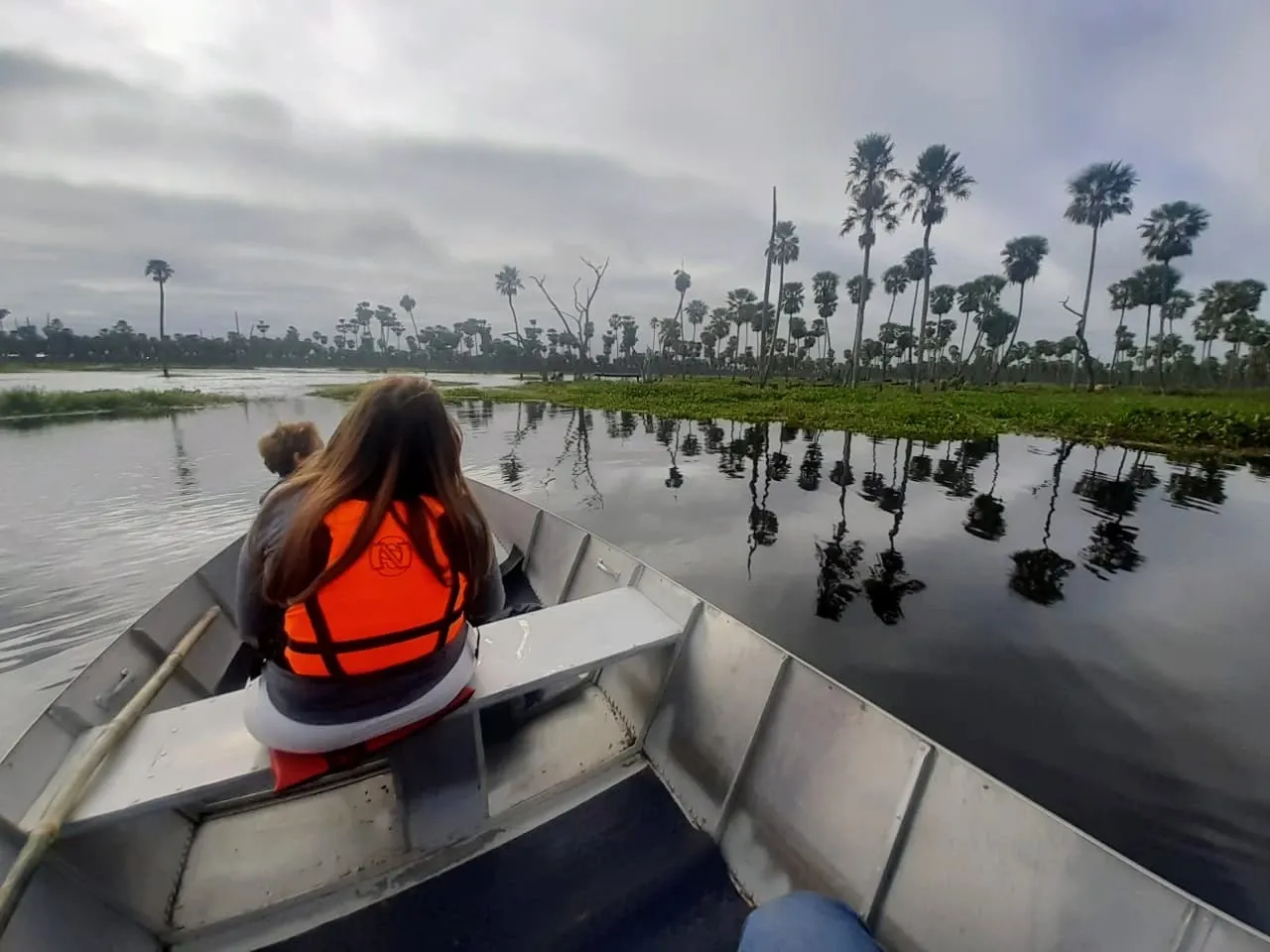 Paisaje de montaña 2
